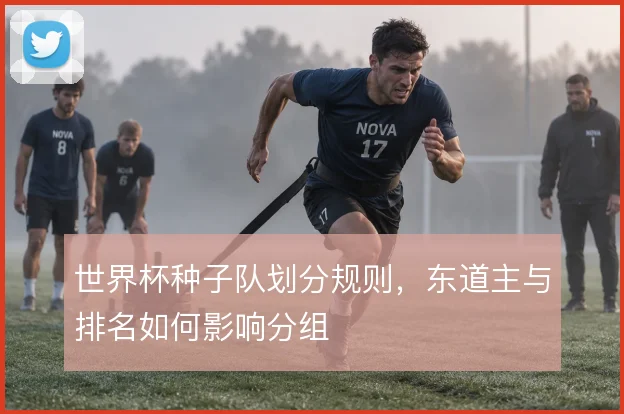 世界杯种子队划分规则，东道主与排名如何影响分组