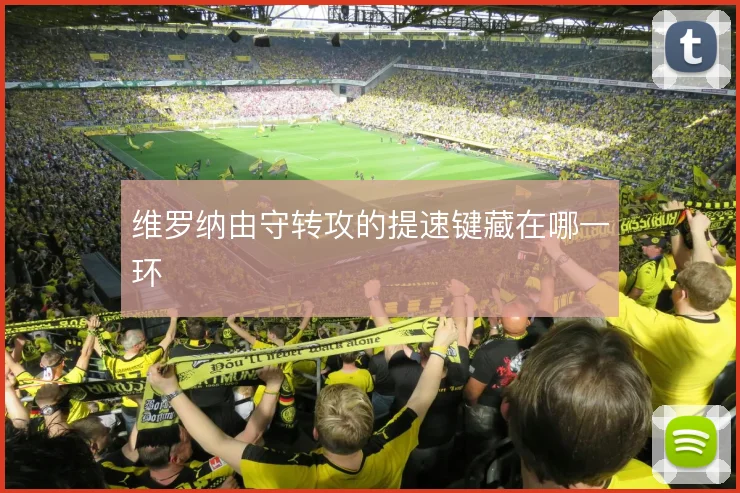 维罗纳由守转攻的提速键藏在哪一环
