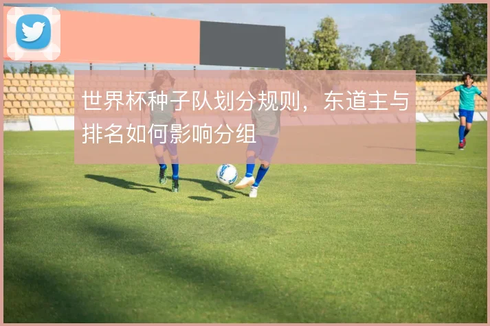世界杯种子队划分规则,东道主与排名如何影响分组