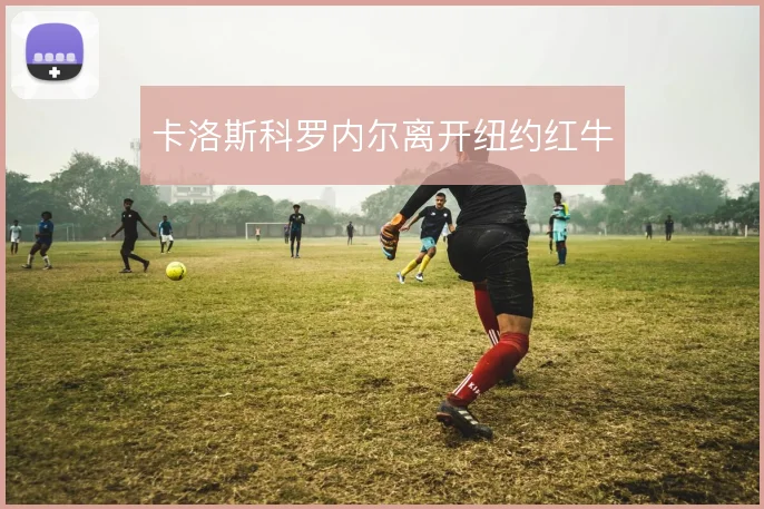 卡洛斯科罗内尔离开纽约红牛